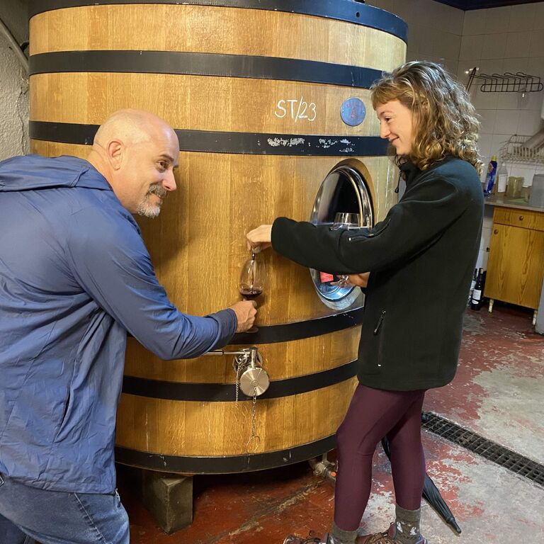 Valencian Cellars