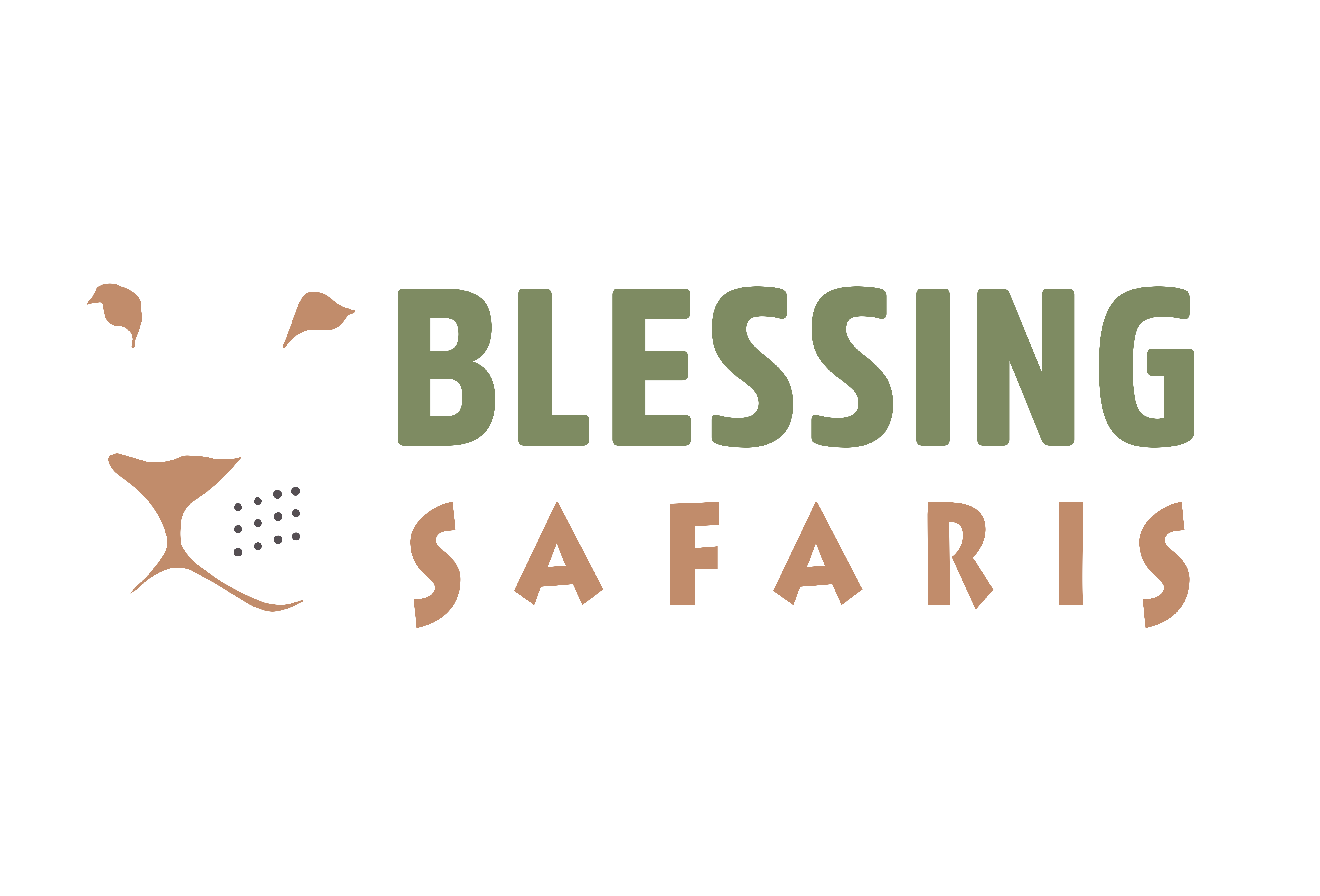 Blessing Safaris