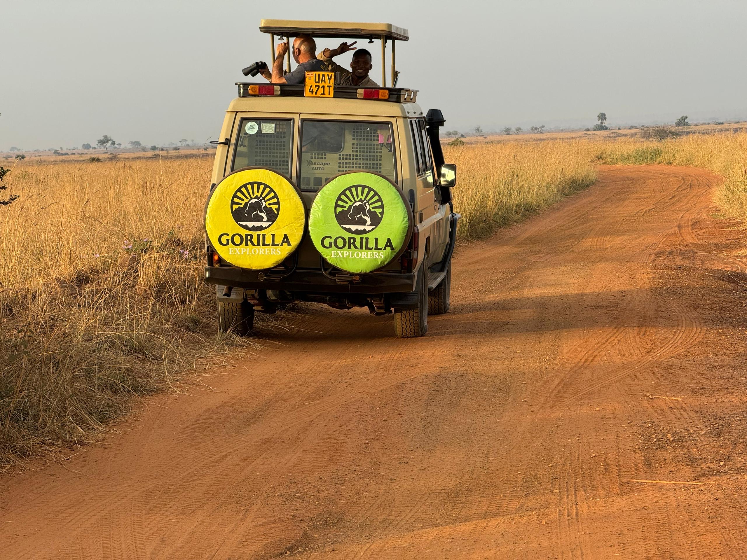 GORILLA EXPLORERS