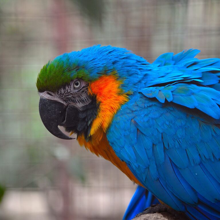 Complejo Ecológico de América