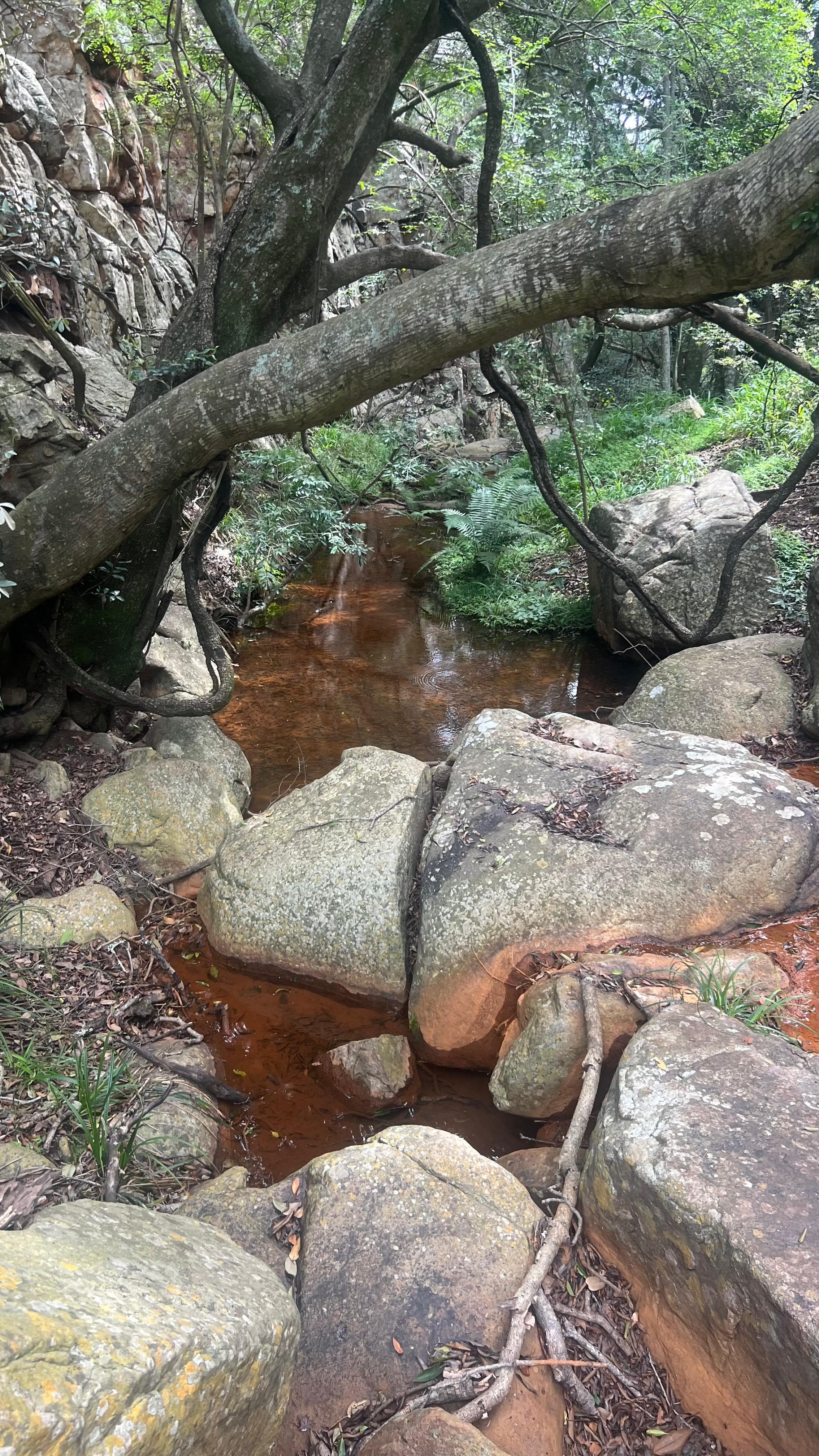 Terrence Rigby Transfers