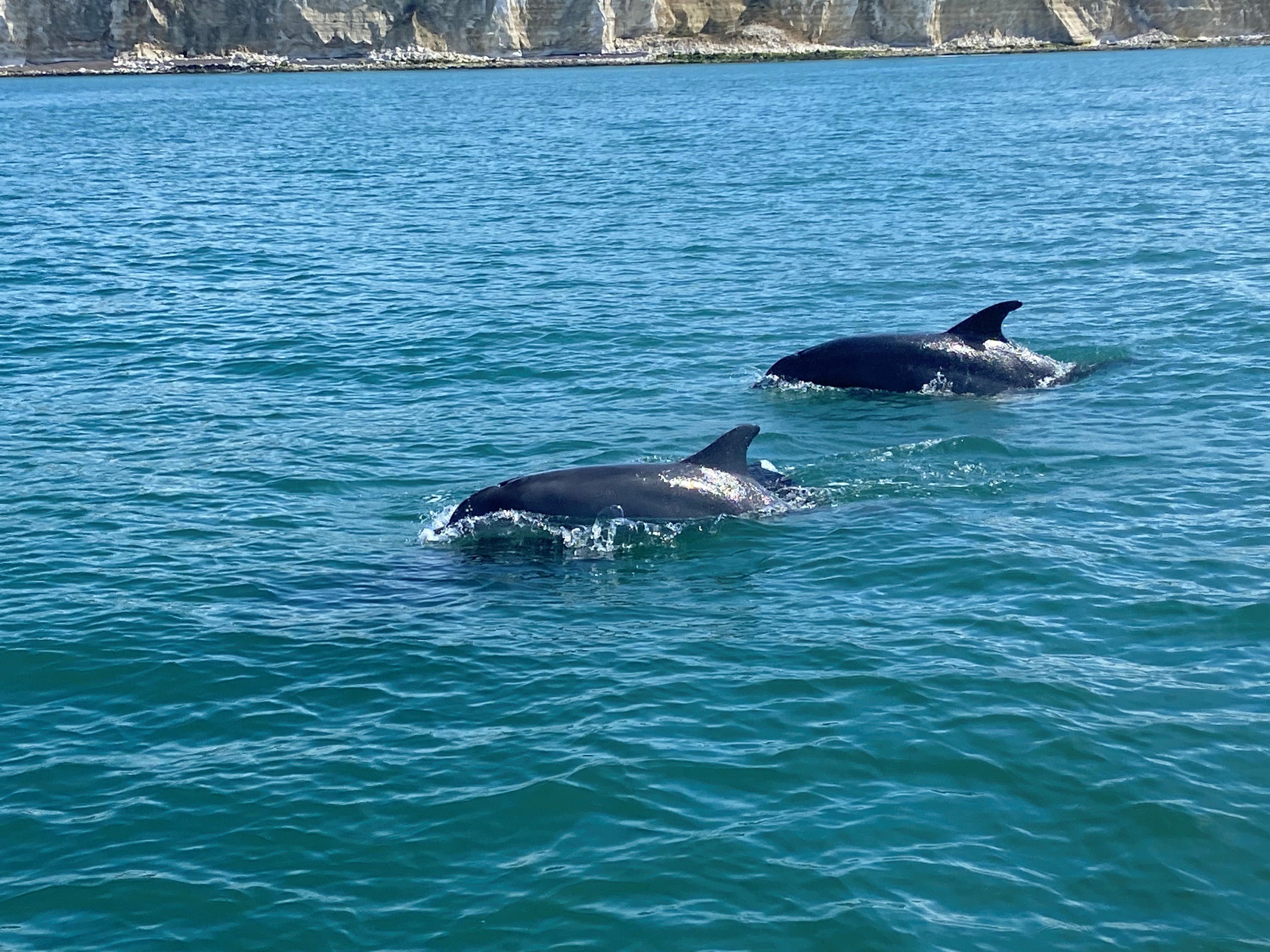 Maverick Boat Adventures