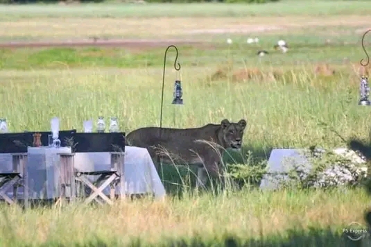 lagoons travel and tours