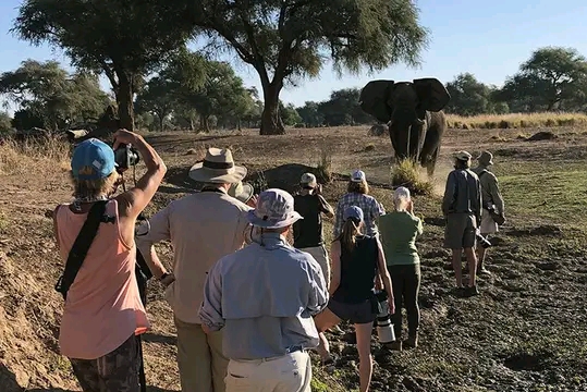 lagoons travel and tours