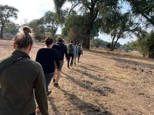 lagoons travel and tours