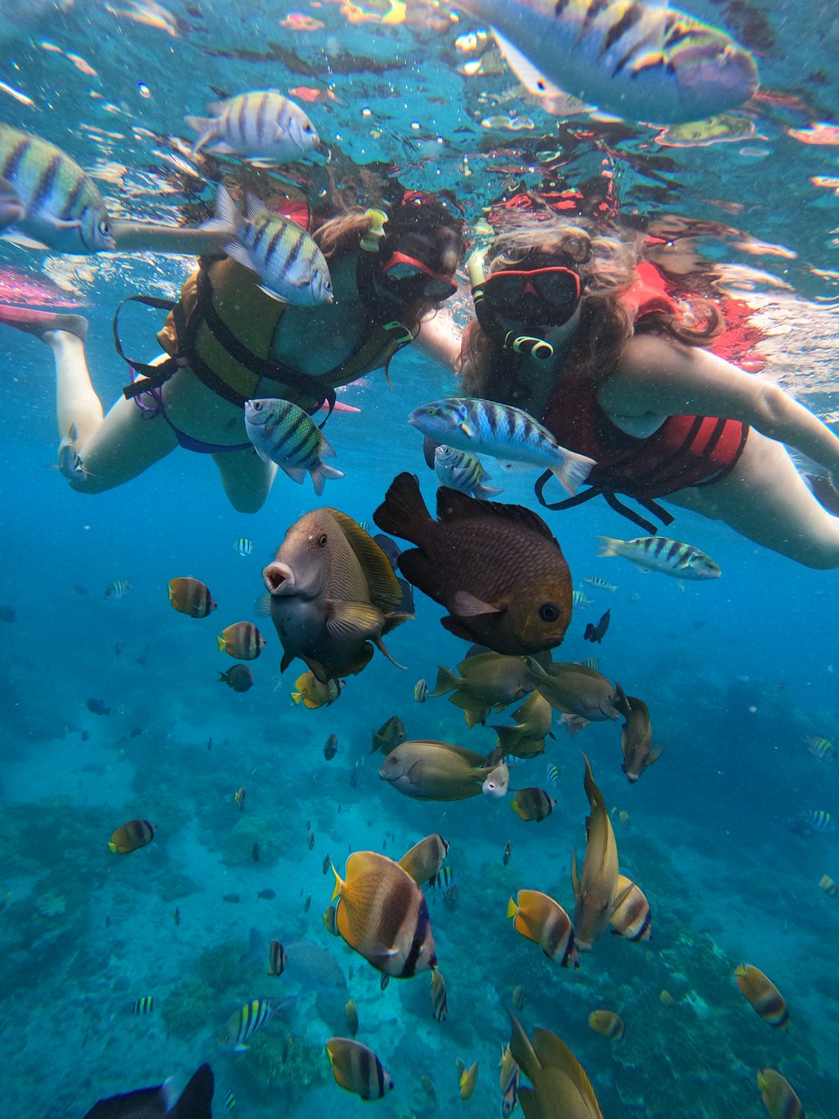 Nusa penida bali vibes tour organize