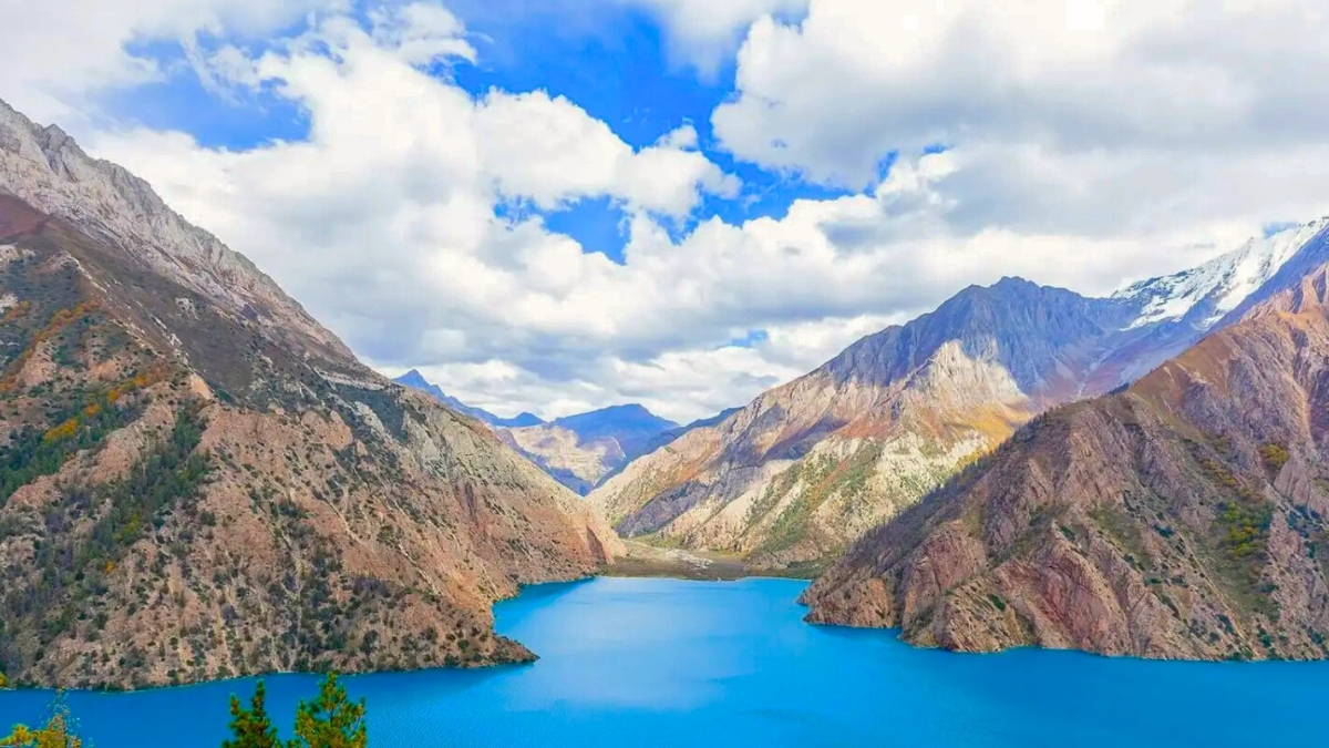 Mount Face Nepal Treks & Expedition Pvt.Ltd.