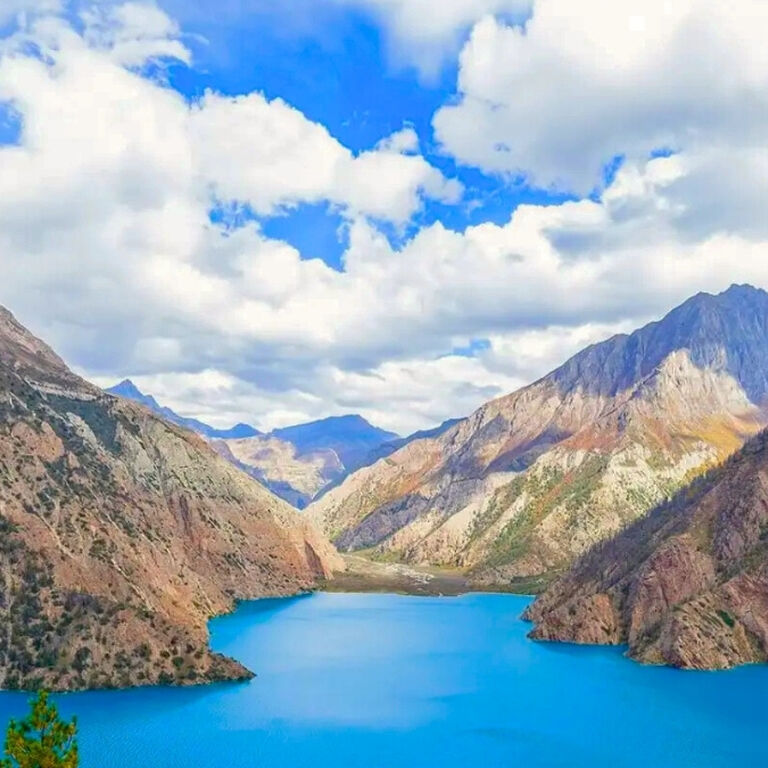 Mount Face Nepal Treks & Expedition Pvt.Ltd.