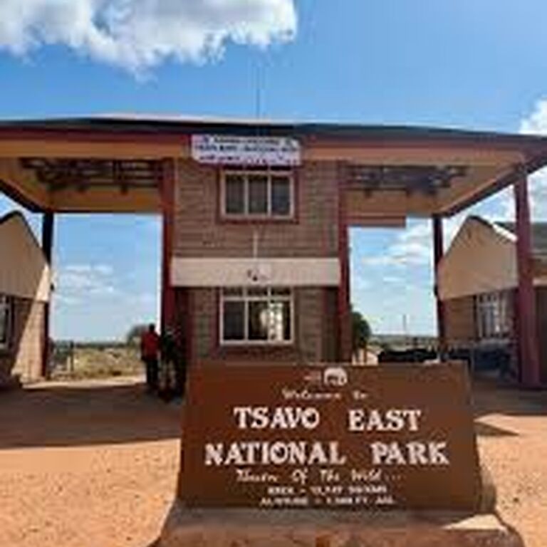 Safari Talk Tours