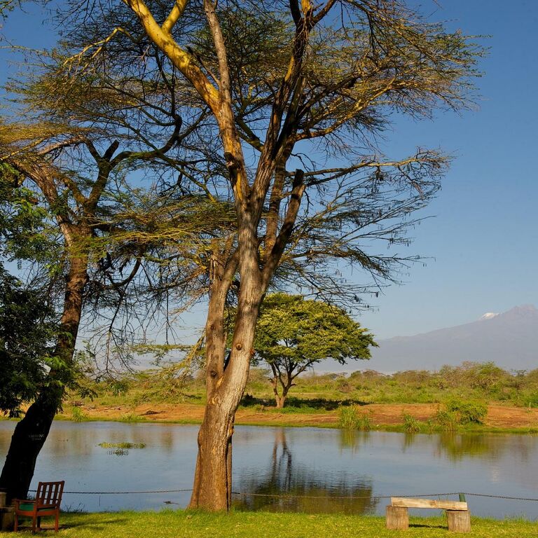Safari Talk Tours