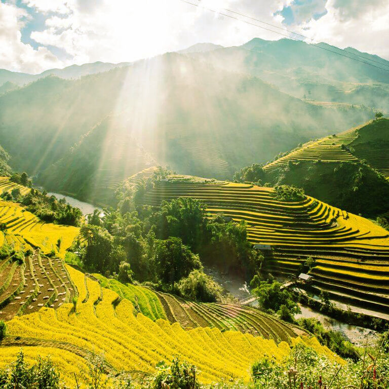 Vietnam Accession Culture Travel