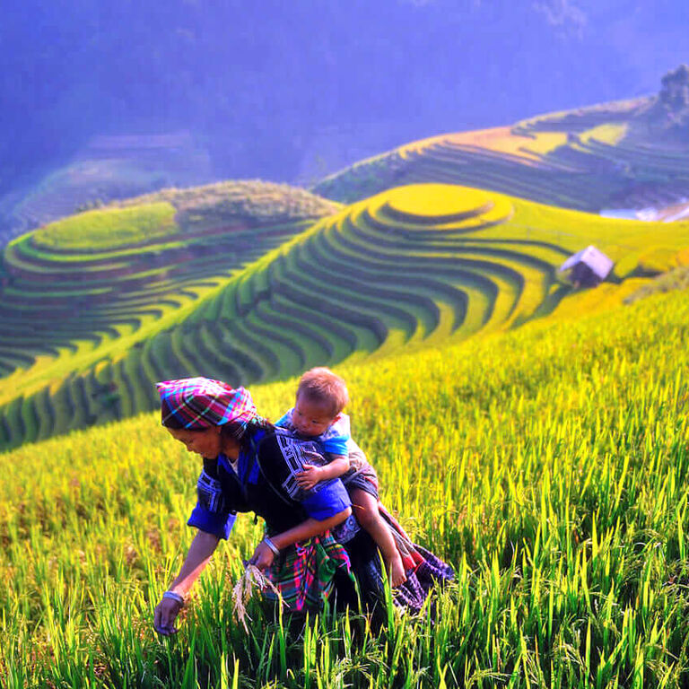 Vietnam Accession Culture Travel