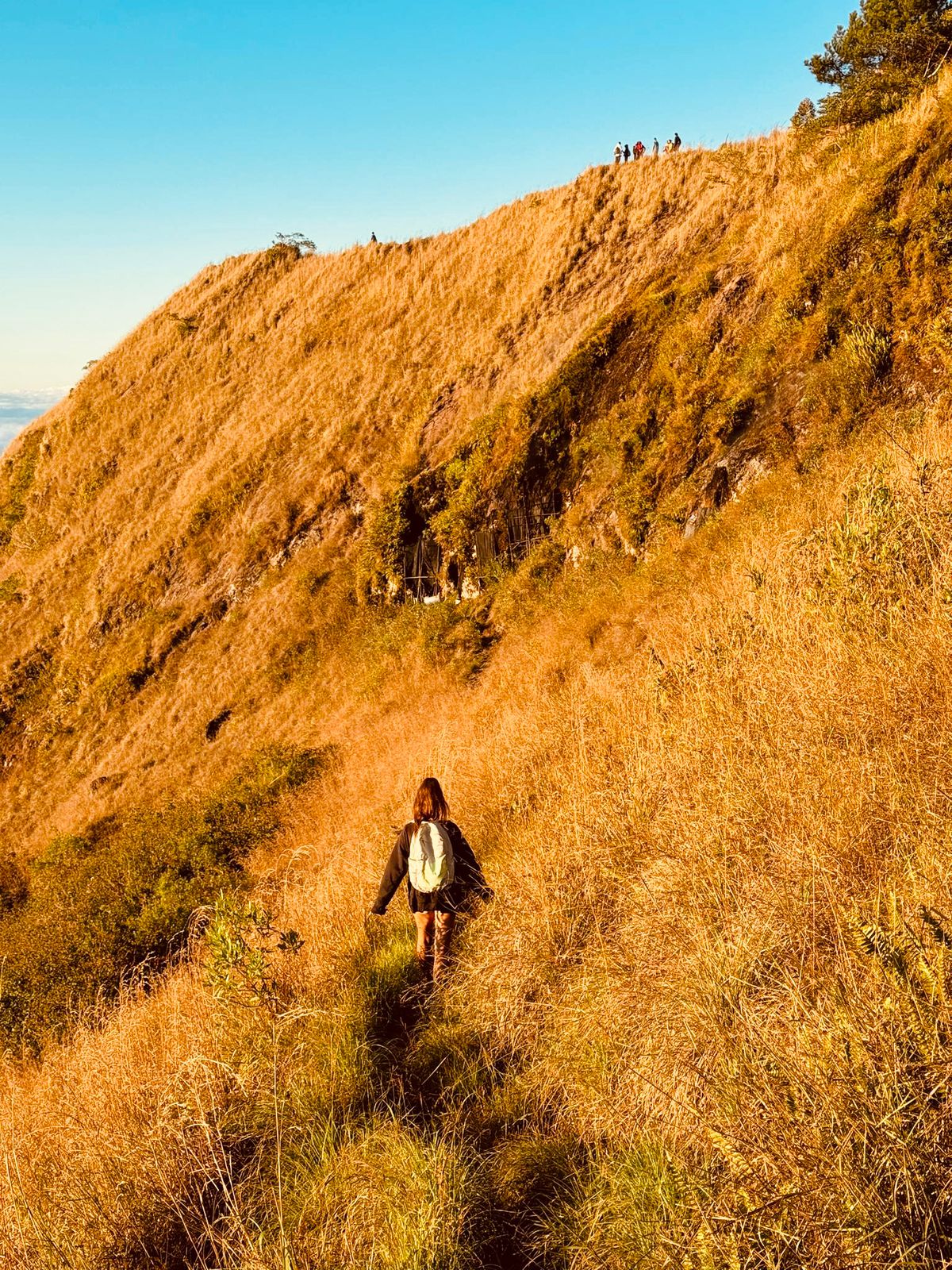Batur Sunrise Experience