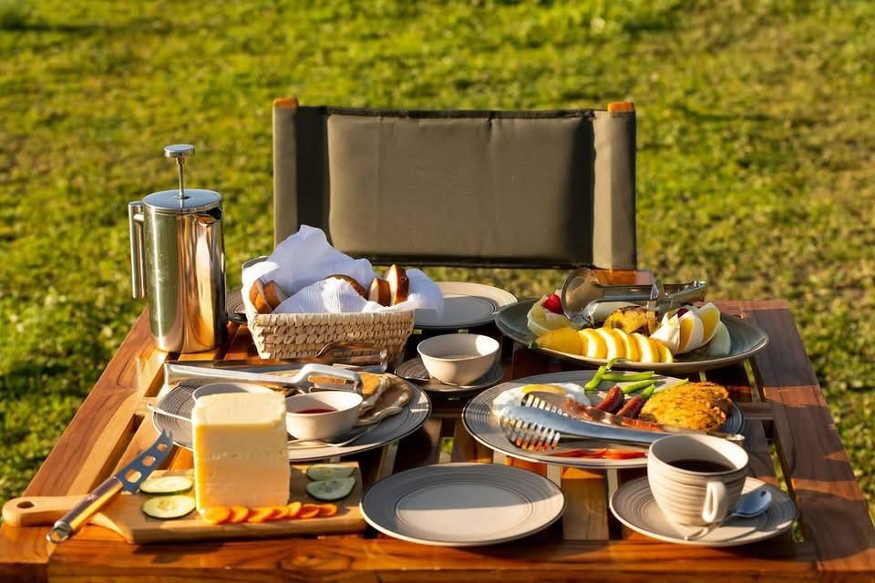Salema Tours & Safaris