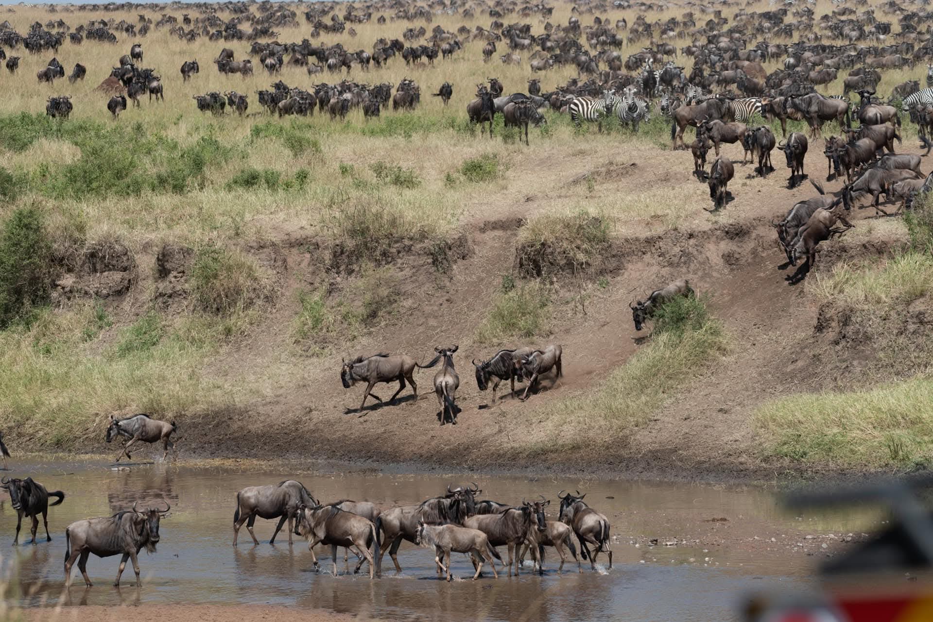 Venture Savannah Tours & Travel