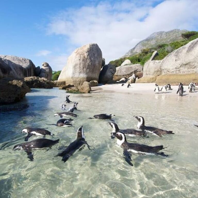 Cape Luxury Chauffeur Pty Ltd