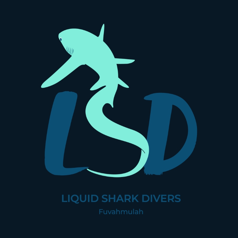 Liquid Shark Divers