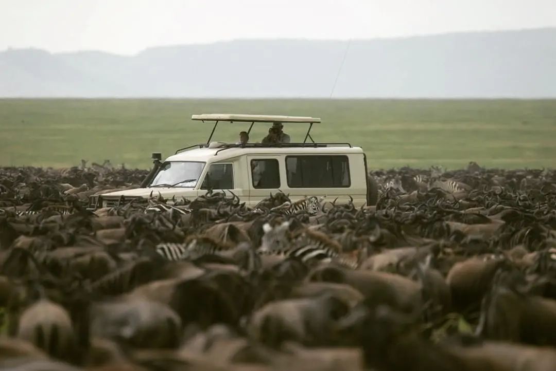 6 DAYS TANZANIA UNFORGETTABLE SAFARI