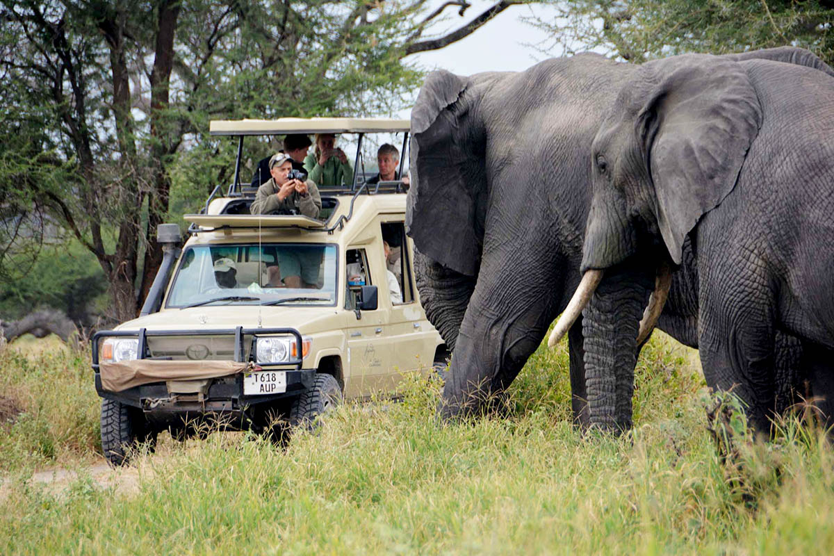 6 DAYS TANZANIA UNFORGETTABLE SAFARI