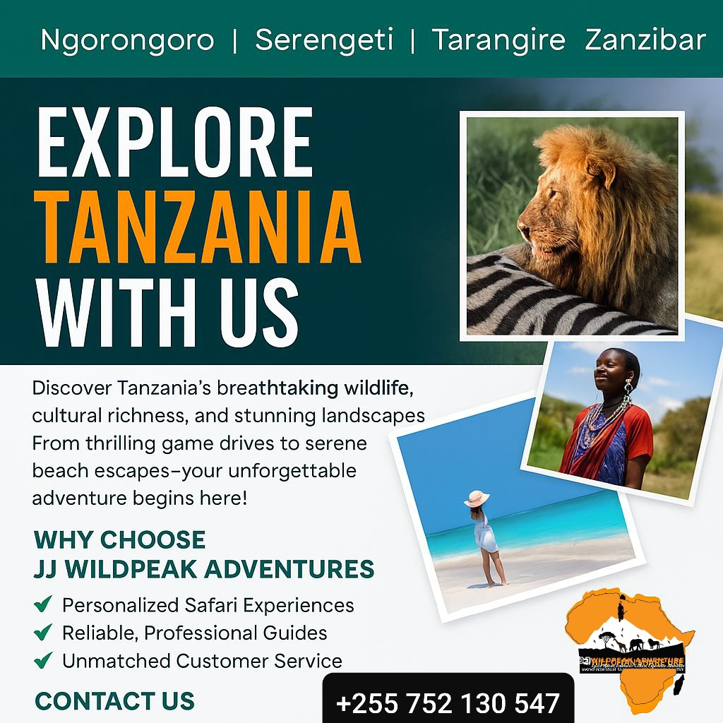 JJ Wildpeak Adventures