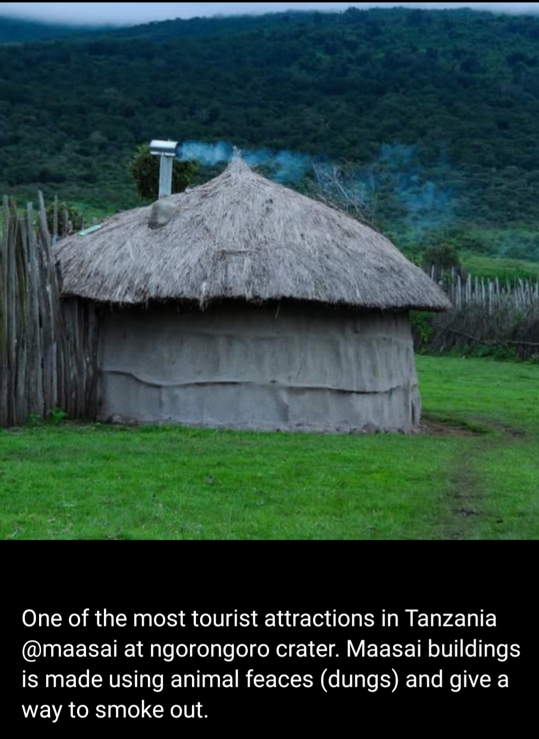 JJ Wildpeak Adventures