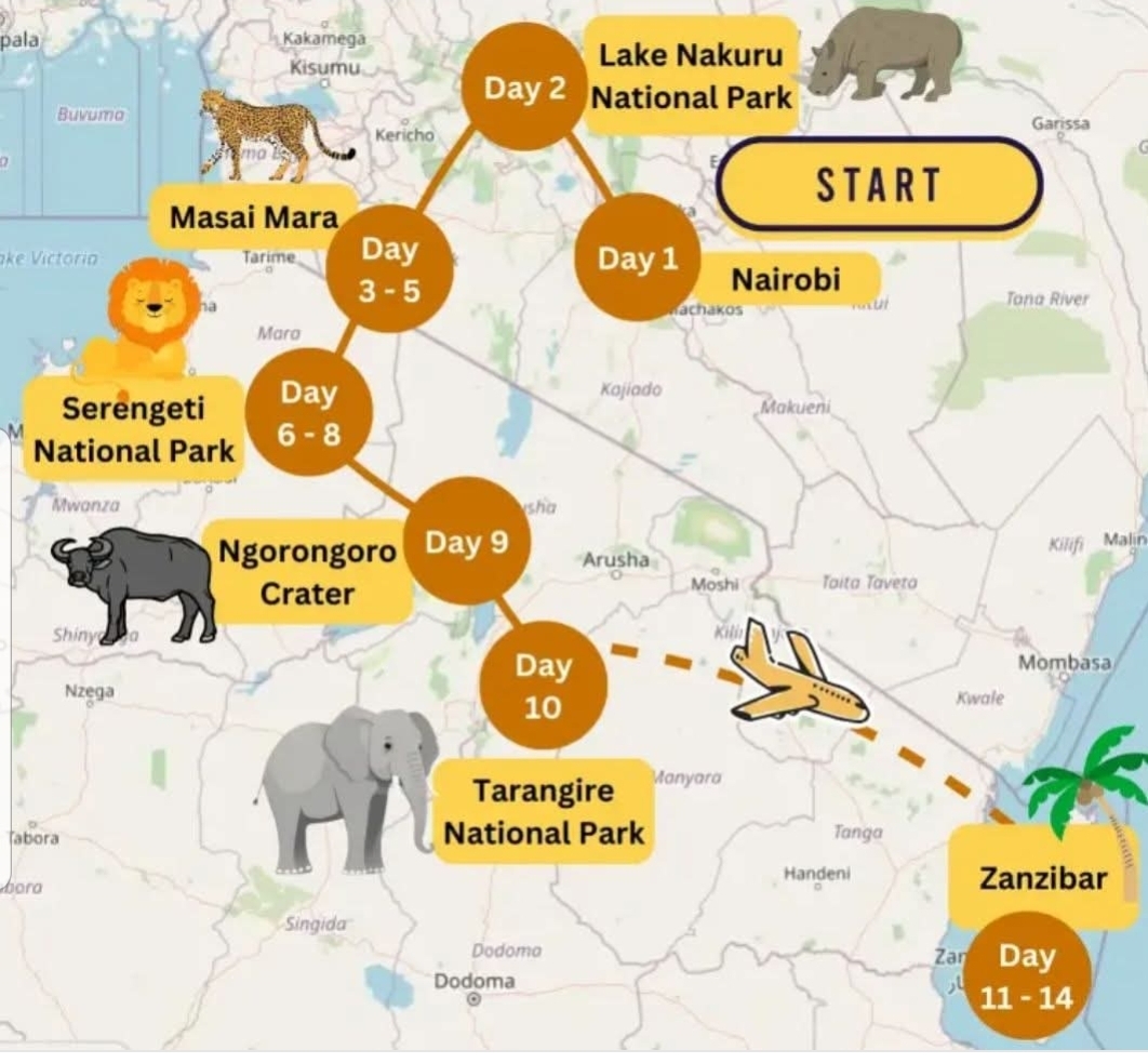 JJ Wildpeak Adventures