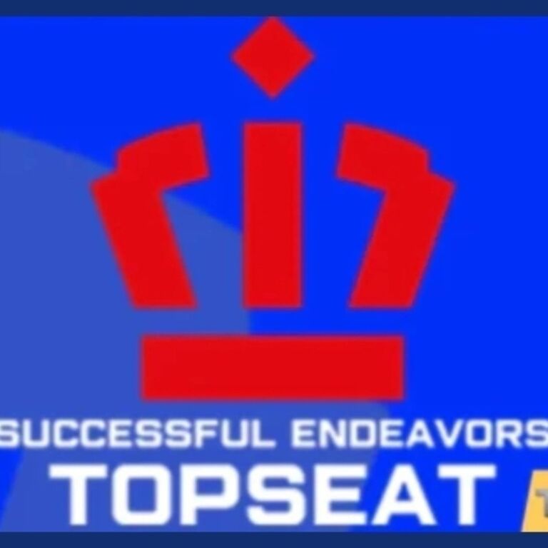Successful Endeavors Topseat