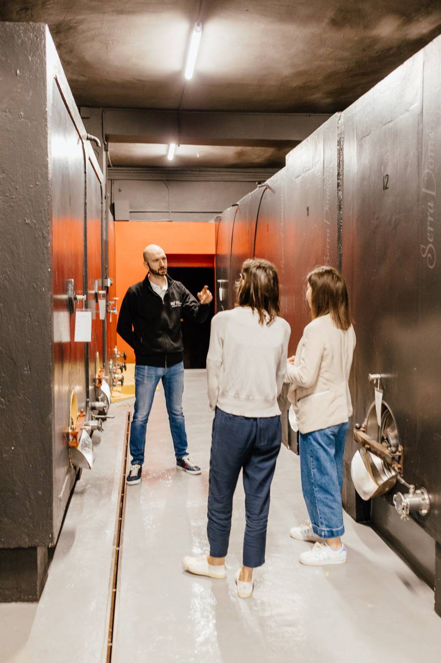Serra Domenico Azienda Agricola