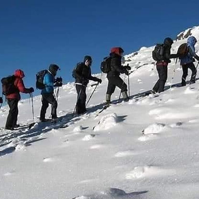 TANZANIA MIGRATION SAFARIS AND TRAVEL