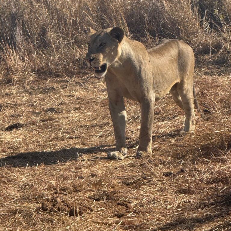 semaindatourssafaris