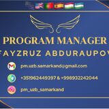 Program Manager Services