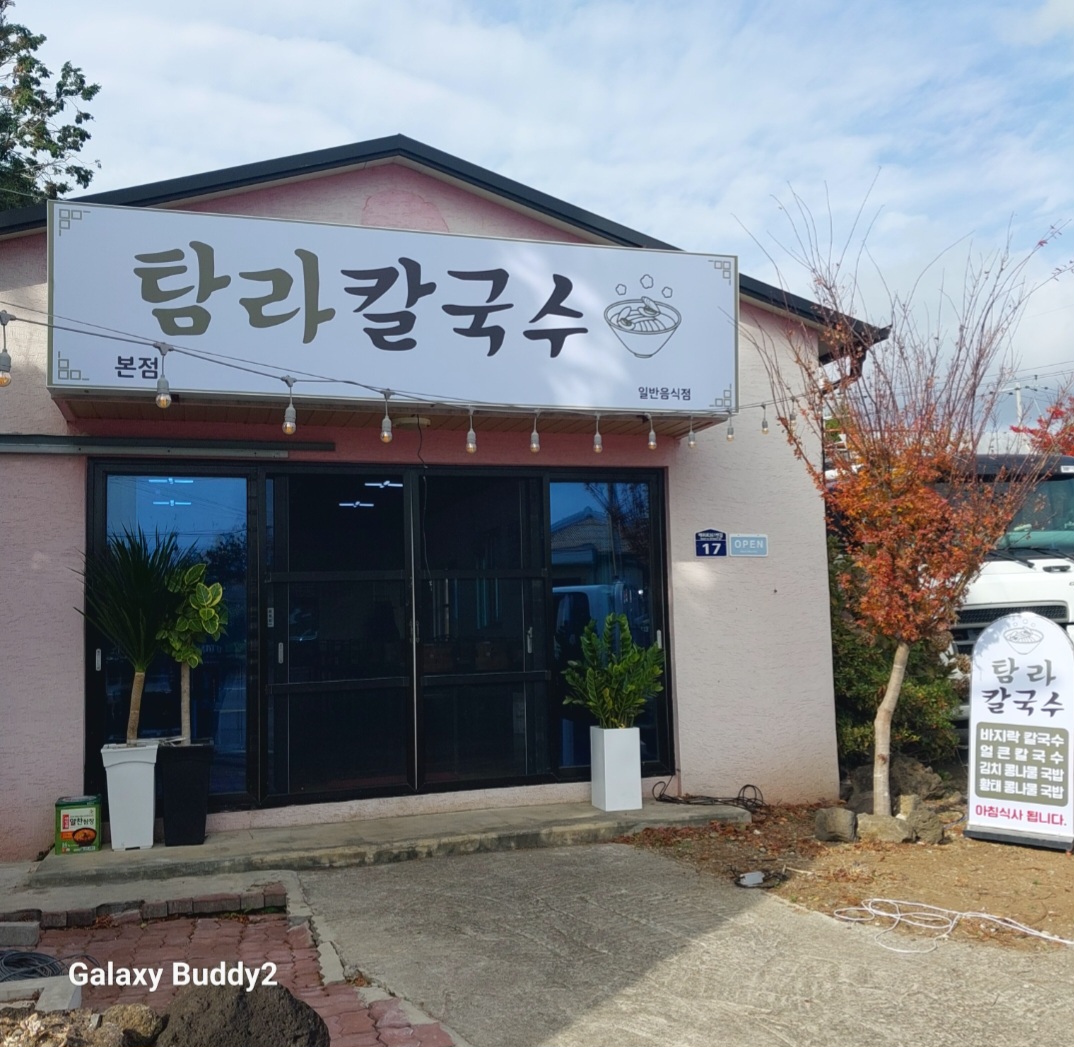 최효주