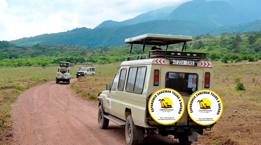 Experience Zanzibar Tours