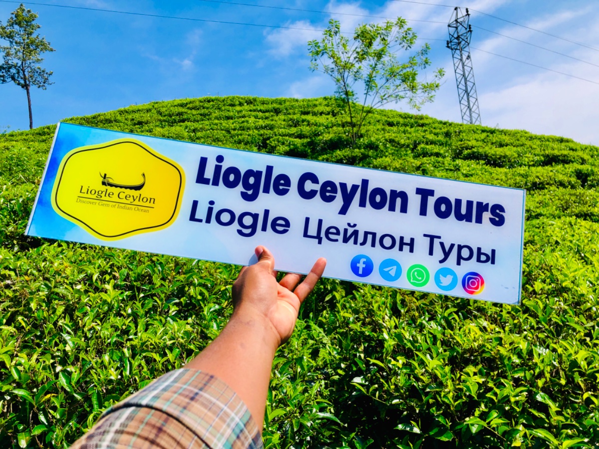 Liogle Ceylon Tours