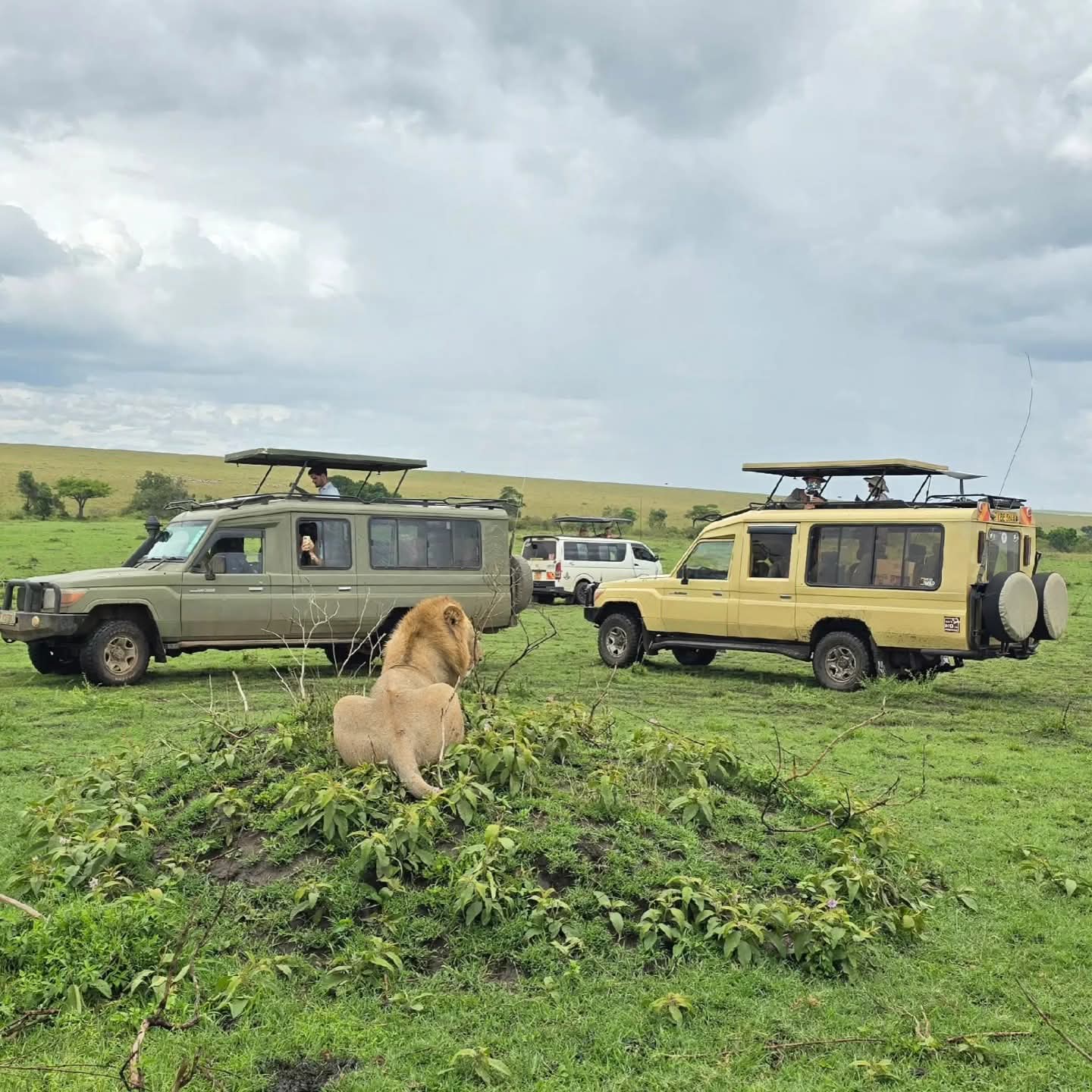 coastalrideskenya.com