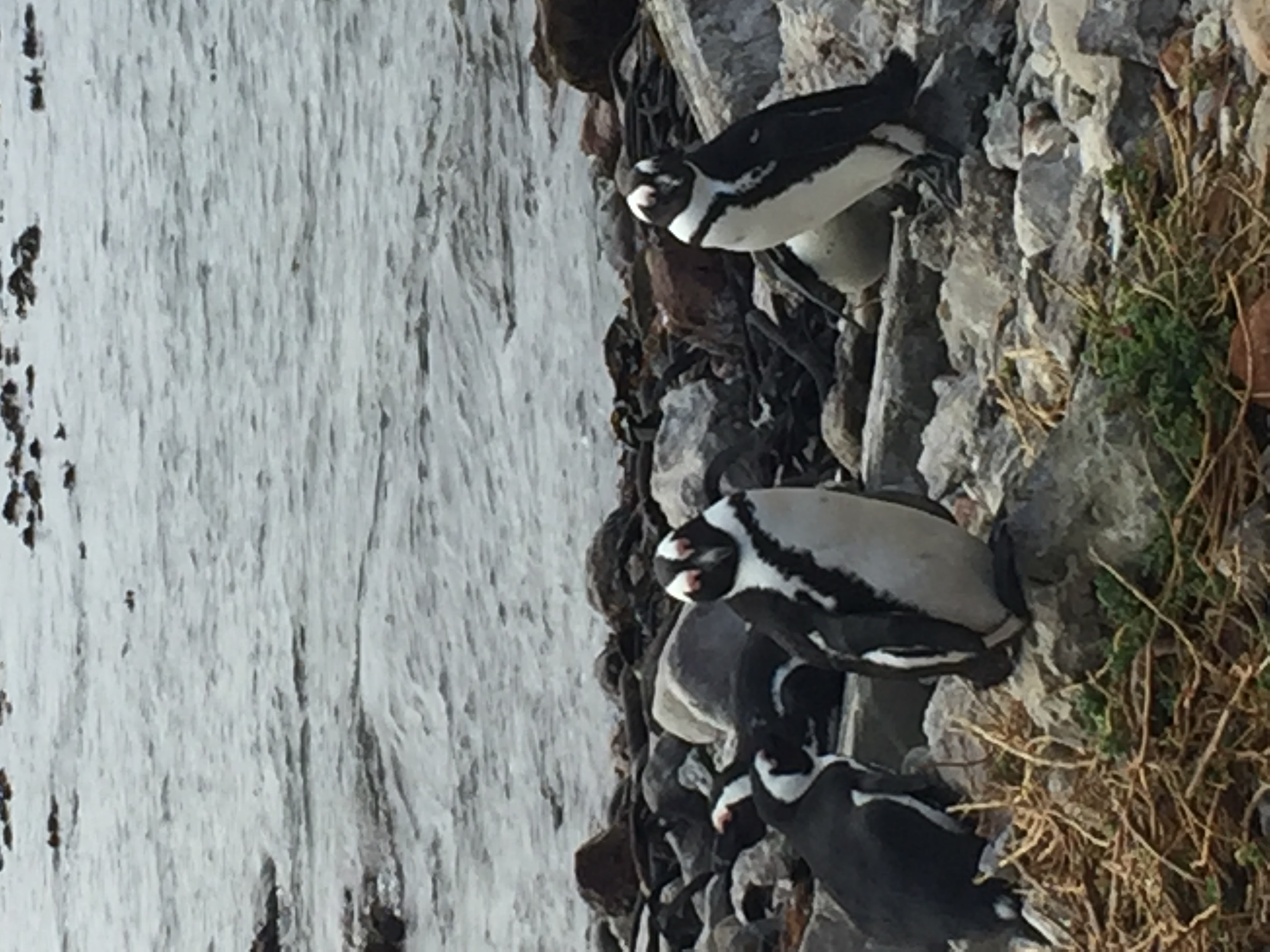 MITA Travel and Tours