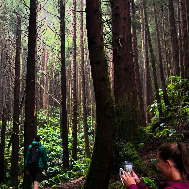 Azores Dynamic Tours