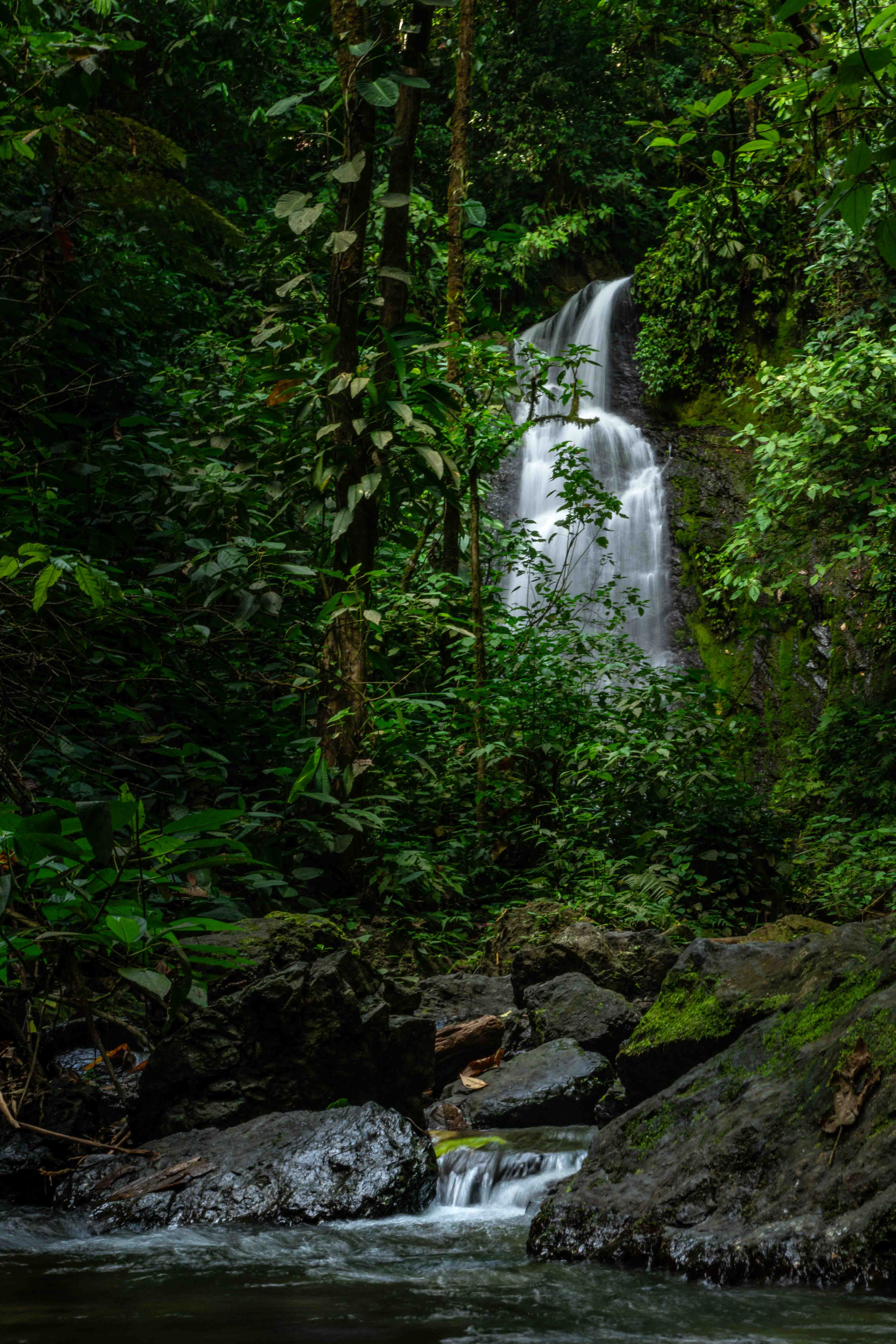 TOP TRAILS CORCOVADO