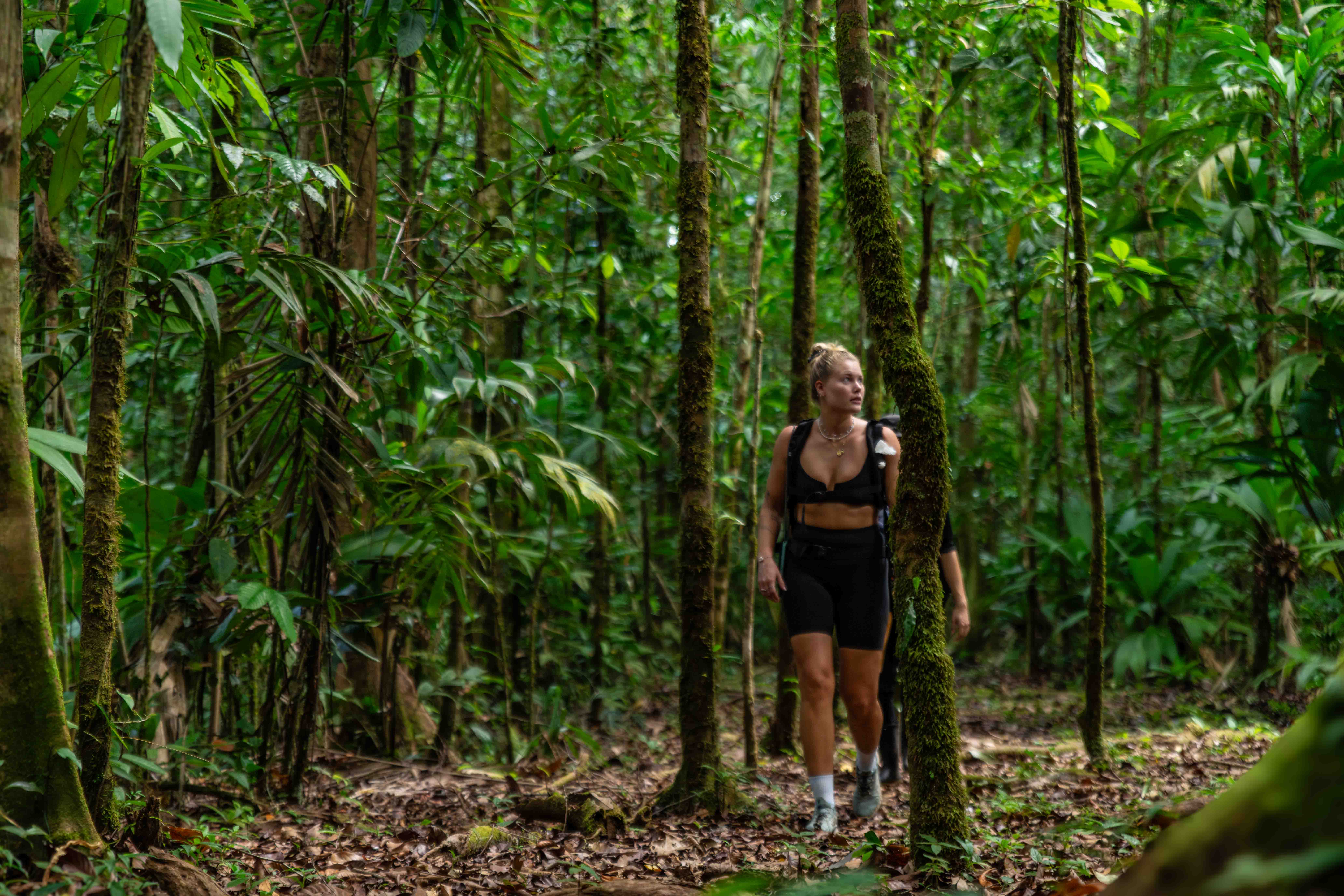 TOP TRAILS CORCOVADO