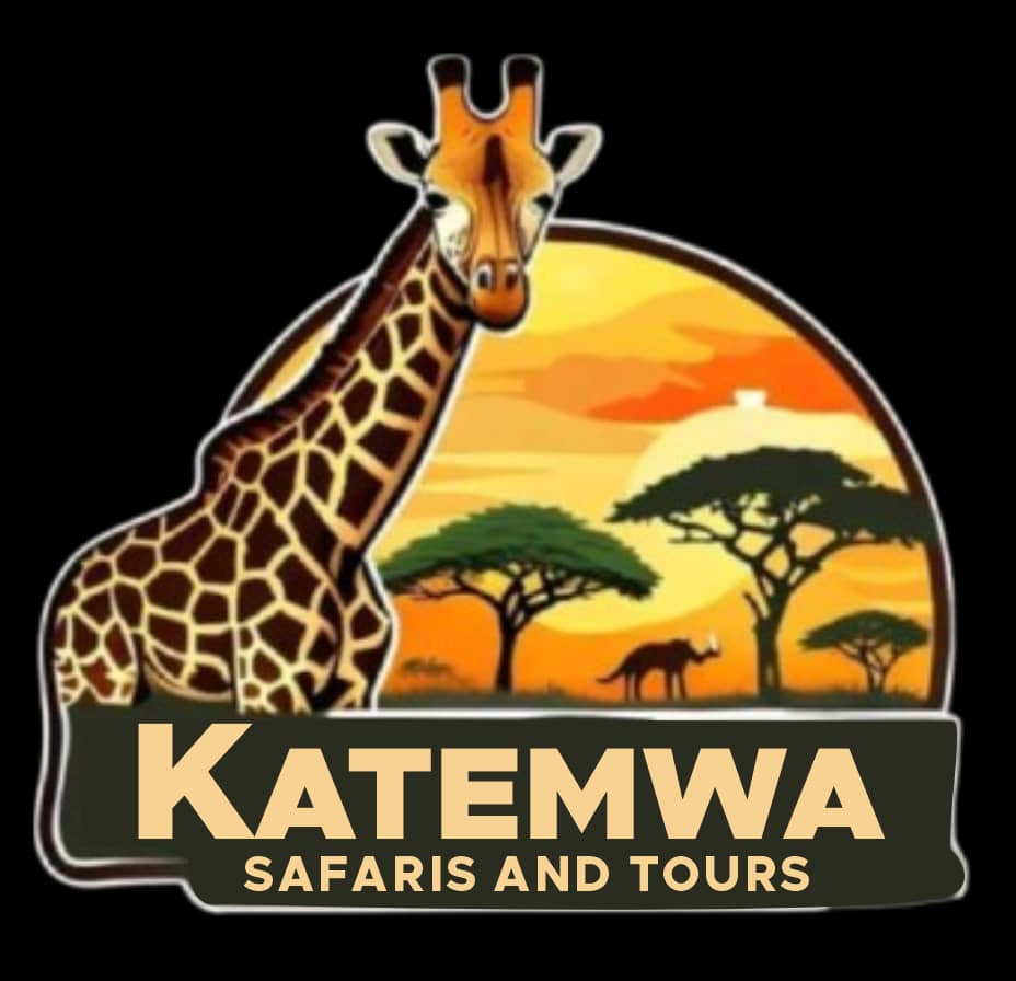 KATEMWA SAFARIS AND TOURS