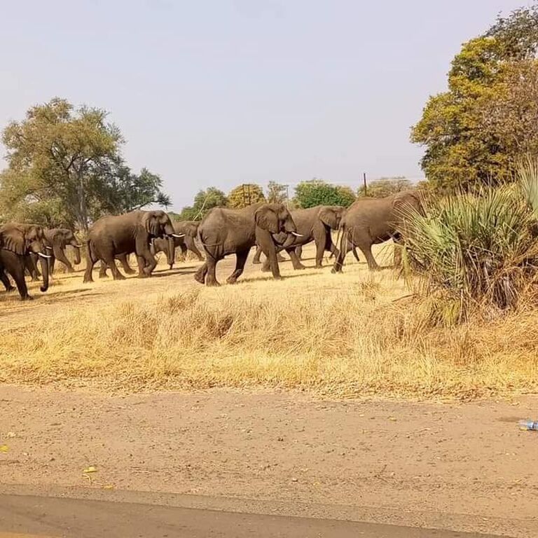 KATEMWA SAFARIS AND TOURS