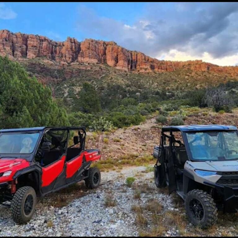 Wilds of Arizona