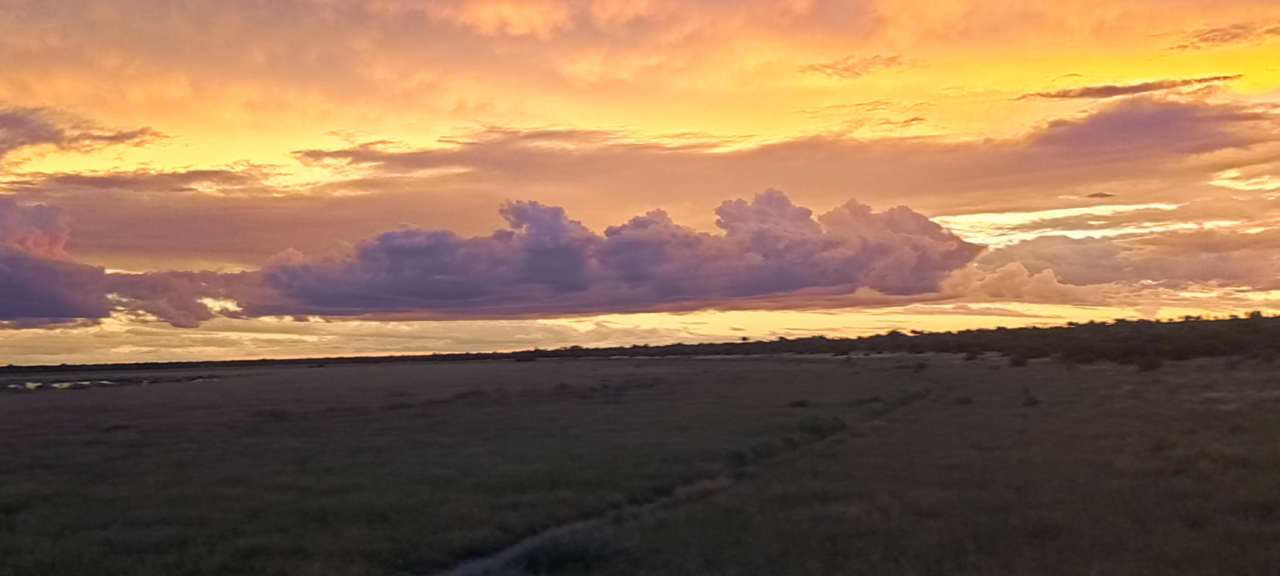 Self Drive Guide Botswana