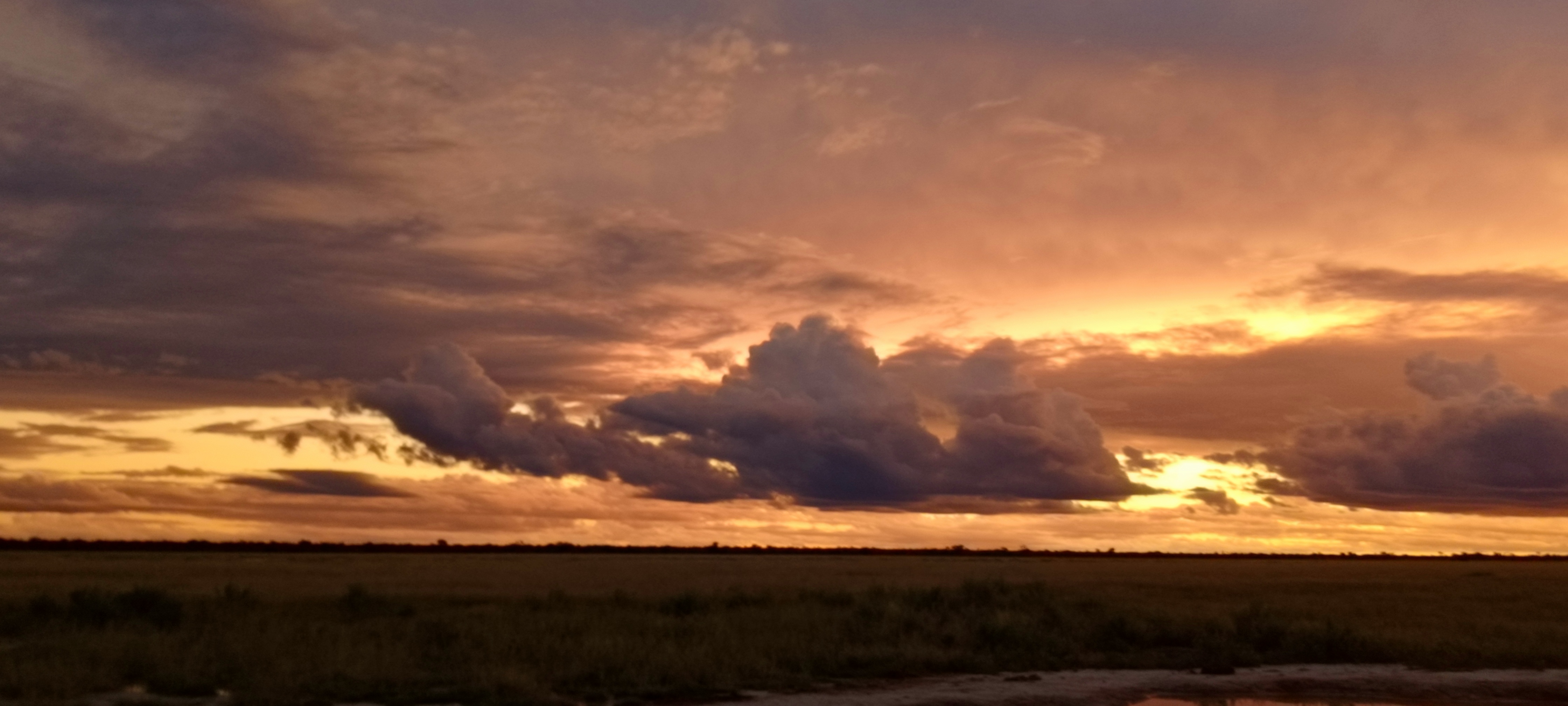 Self Drive Guide Botswana