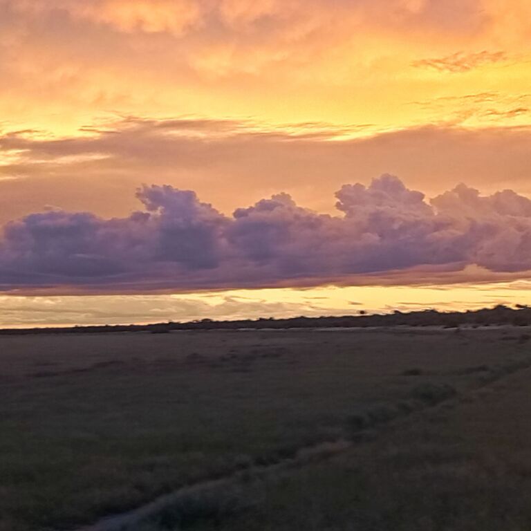 Self Drive Guide Botswana