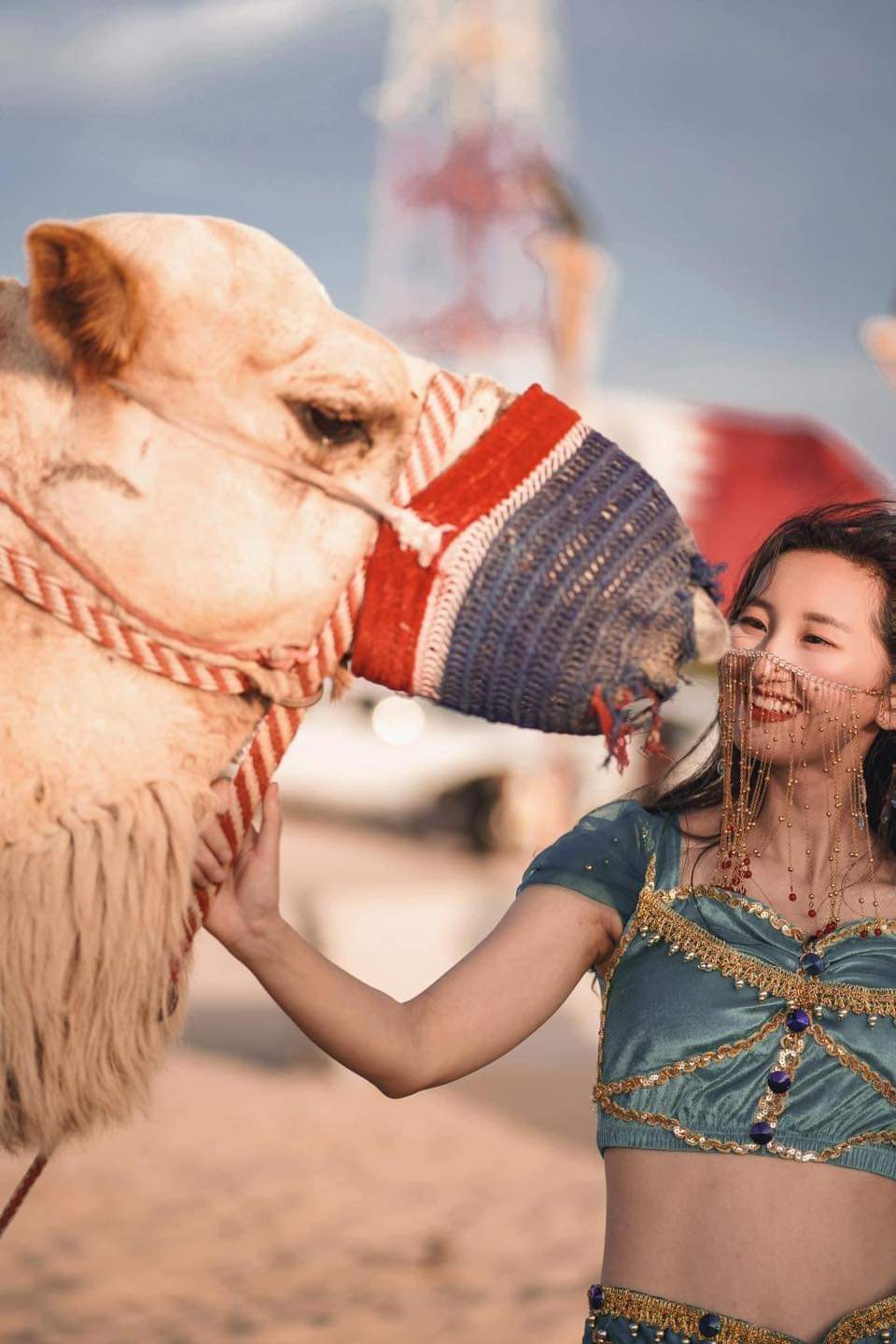 Desert Safari  (Camel Ride & Falcon & Quad Bike)