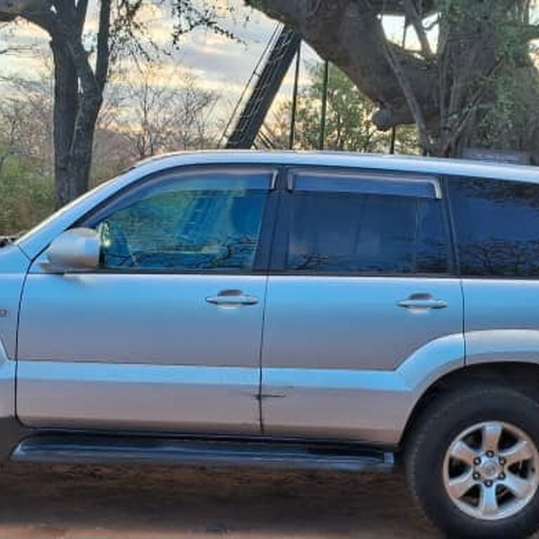 Argimo Car Rental