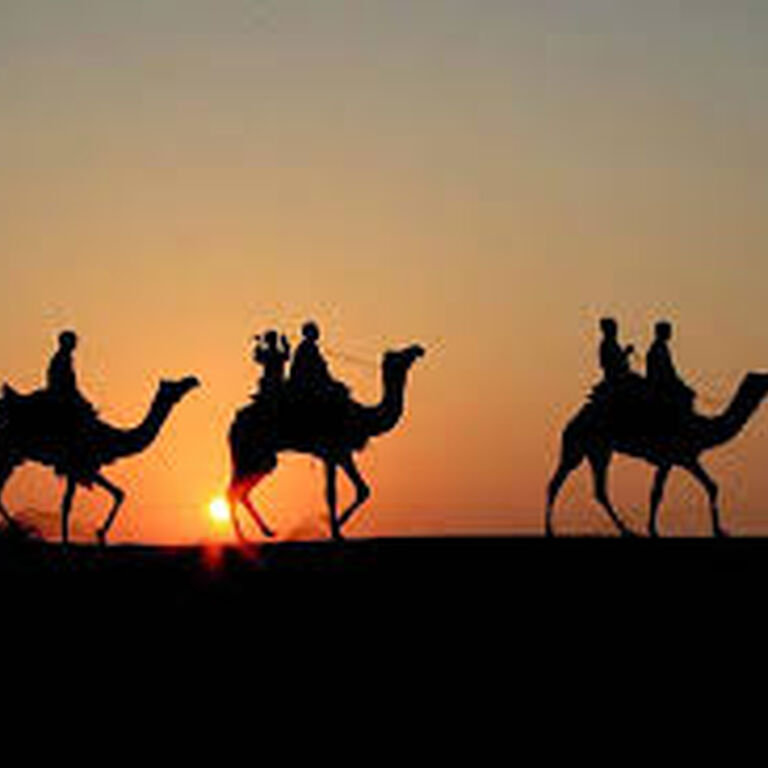 Castle Tours India