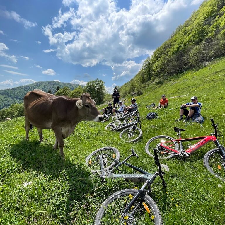 Ljubljana active trips