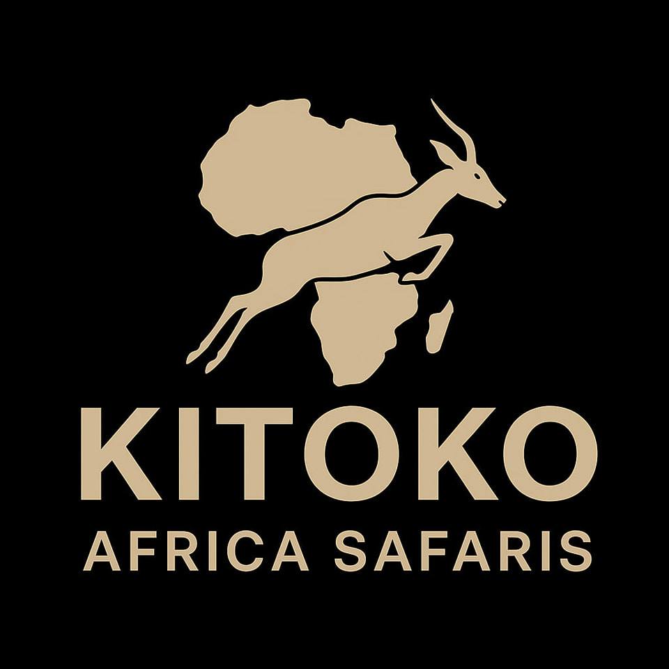 kitoko africa safaris